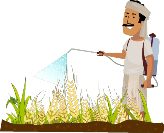 Traditional Instrument